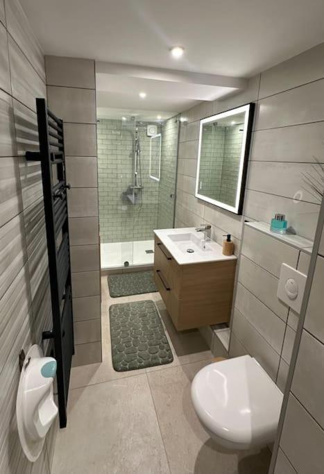 Le Briand Appartement 4Etoiles Nancy Thermal Cosy Avec Terrasse Wifi Extérieur photo